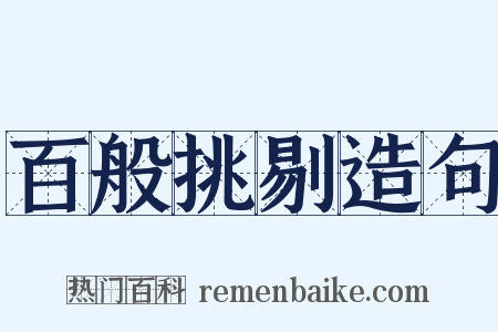 百般挑剔造句是什么意思的图片